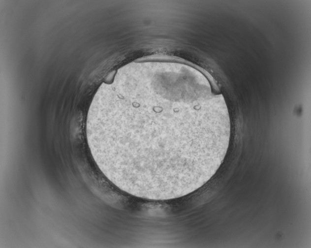 X0000114630073200912011035