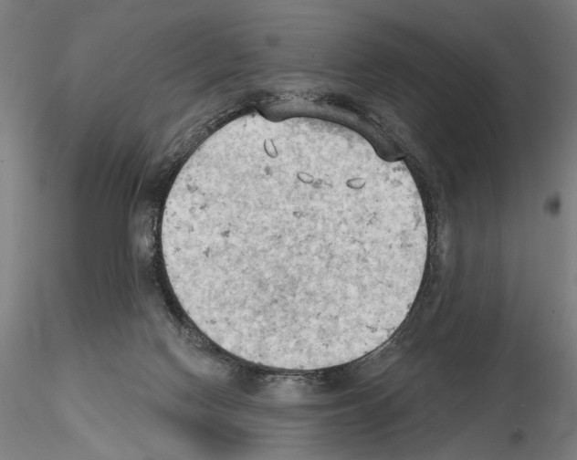 X0000114630074200912011035