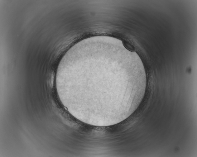 X0000114630076200912011035