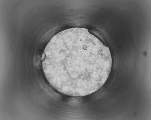 X0000114630077200912011035