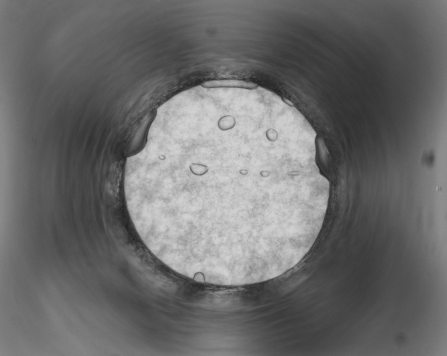 X0000114630078200912011035