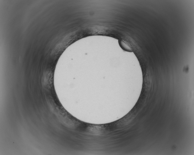 X0000114630079200912011035