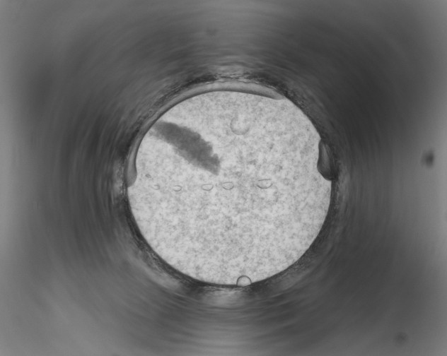 X0000114630081200912011035