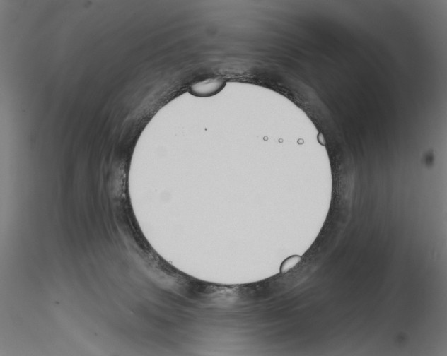 X0000114630083200912011035