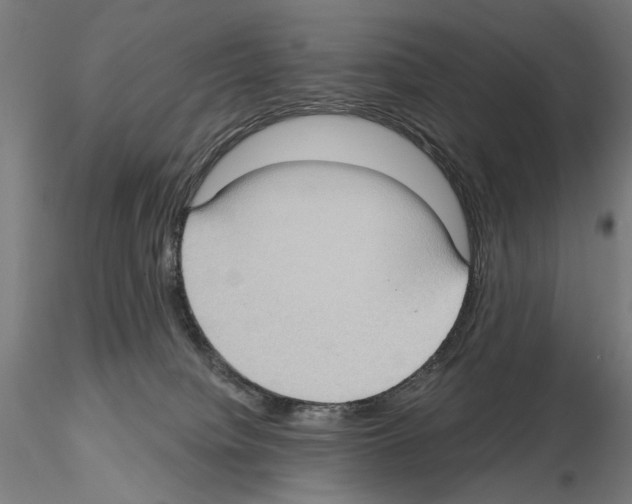 X0000114630084200912011035