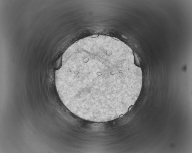 X0000114630085200912011035