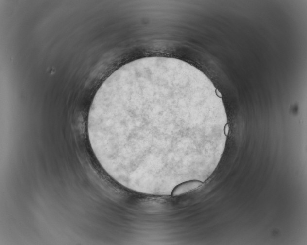 X0000114630086200912011035