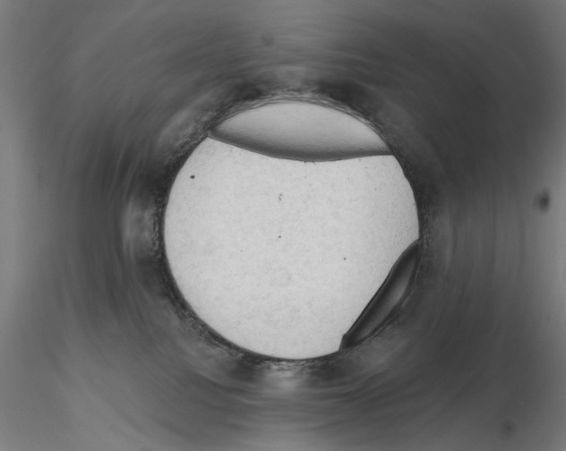 X0000114630088200912011035