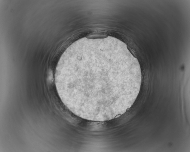 X0000114630089200912011035