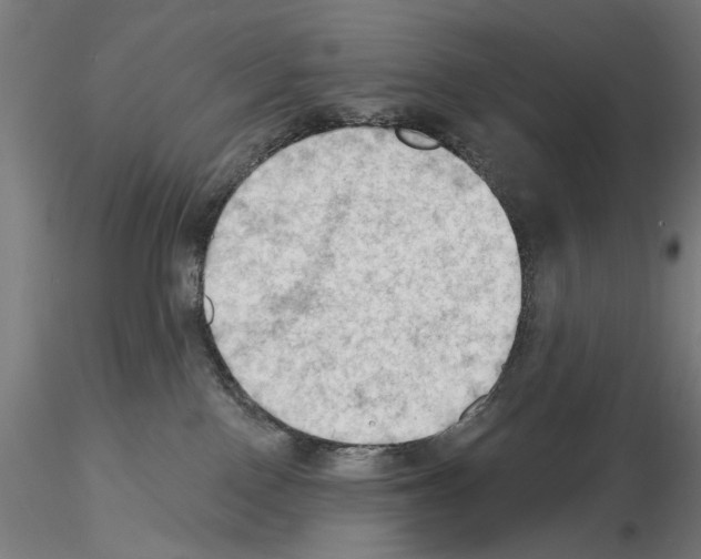 X0000114630090200912011035