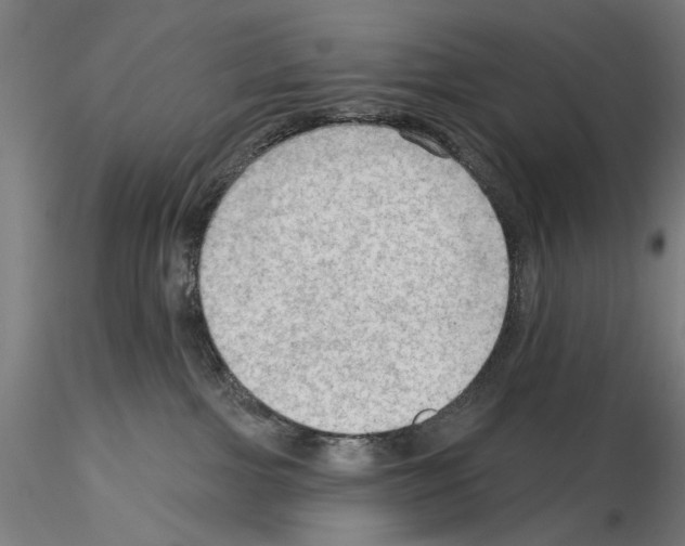 X0000114630091200912011035