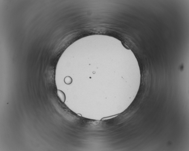 X0000114630092200912011035