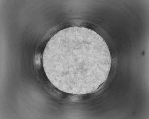 X0000114630094200912011035