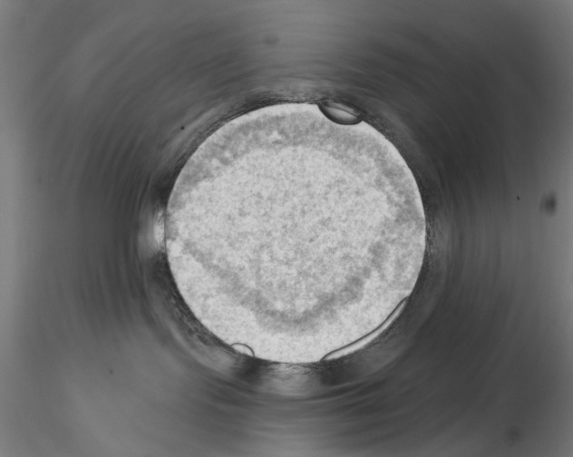 X0000114630095200912011035