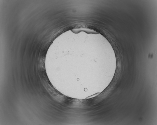 X0000114630096200912011035