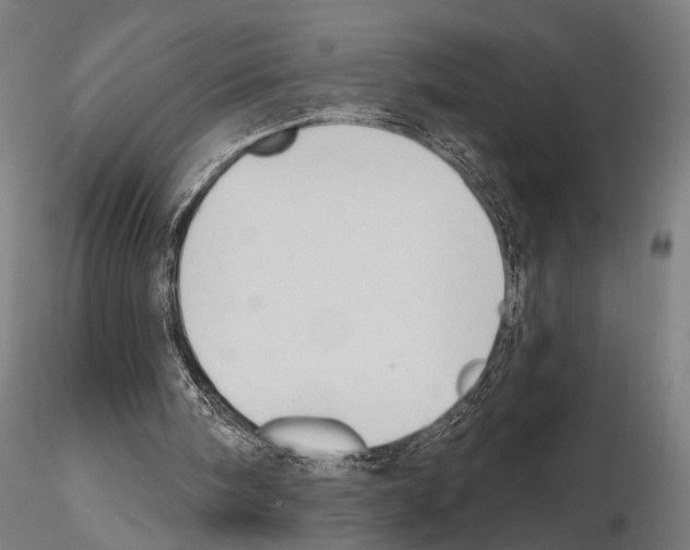 X0000114630098200912011035