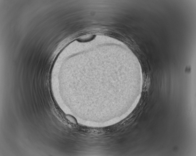 X0000114630099200912011035