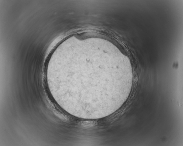 X0000114630102200912011035