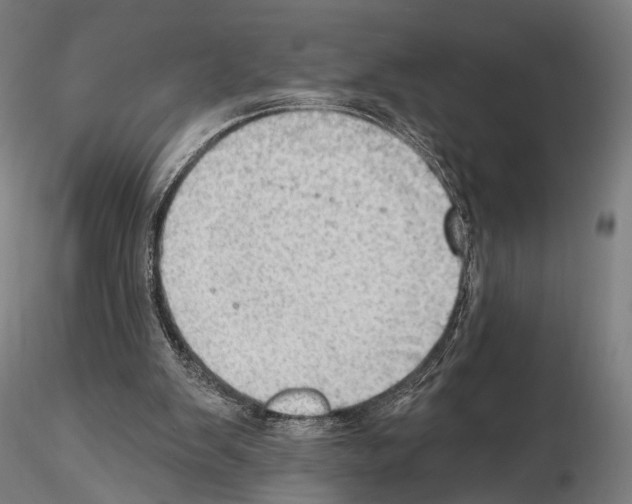 X0000114630103200912011035