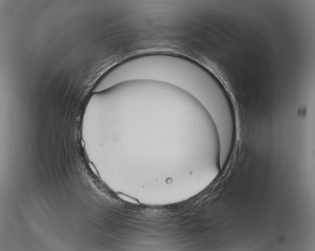 X0000114630105200912011035