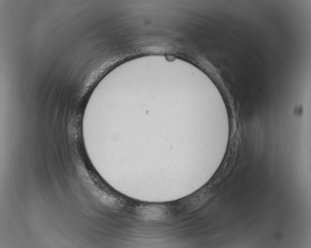 X0000114630106200912011035