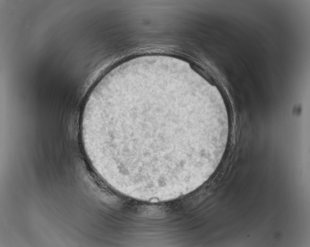 X0000114630107200912011035