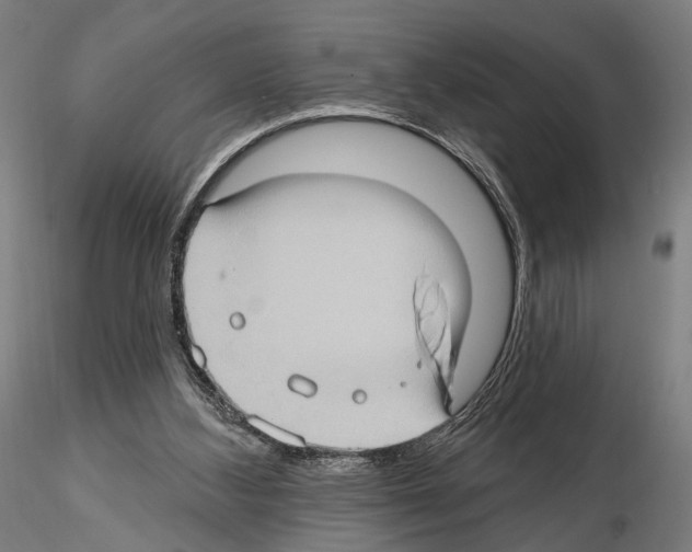 X0000114630108200912011035