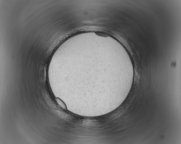 X0000114630109200912011035