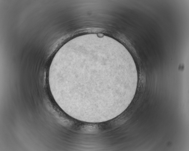 X0000114630110200912011034