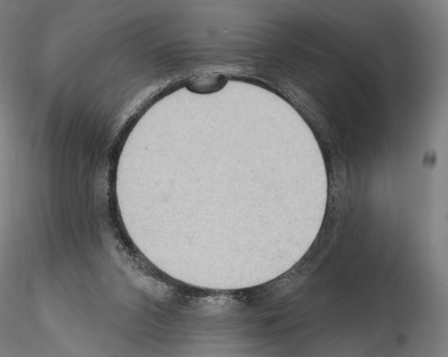 X0000114630112200912011034