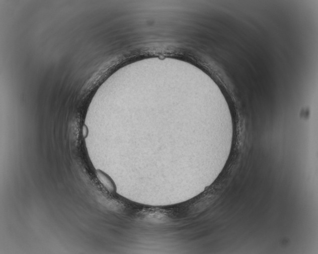 X0000114630113200912011034