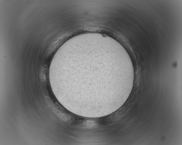 X0000114630114200912011034