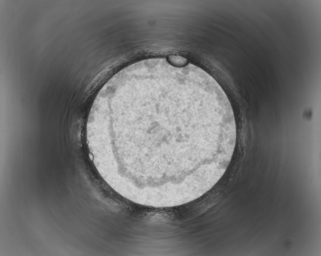 X0000114630115200912011034