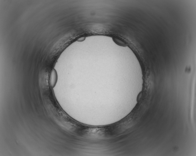 X0000114630117200912011034