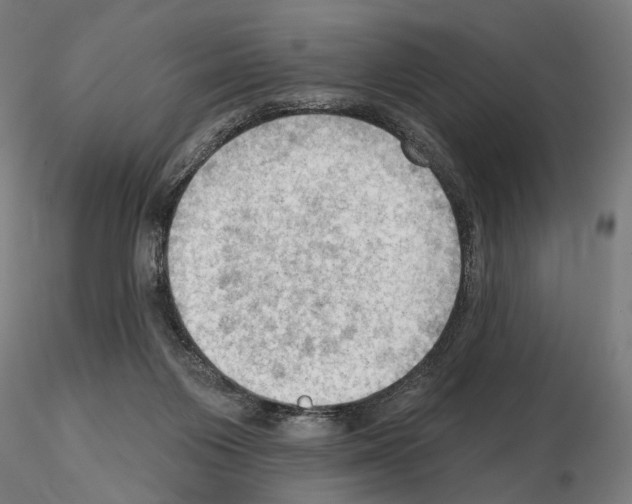 X0000114630119200912011034