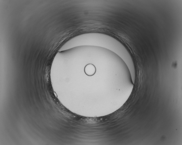 X0000114630121200912011034