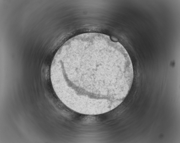 X0000114630123200912011034