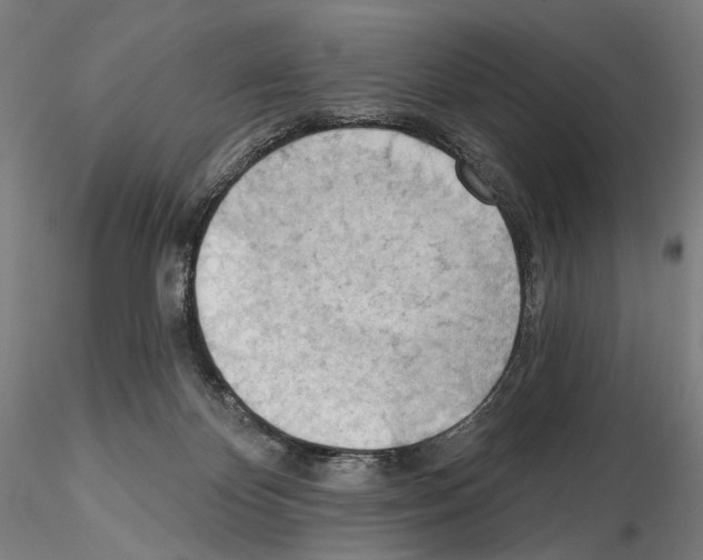 X0000114630124200912011034