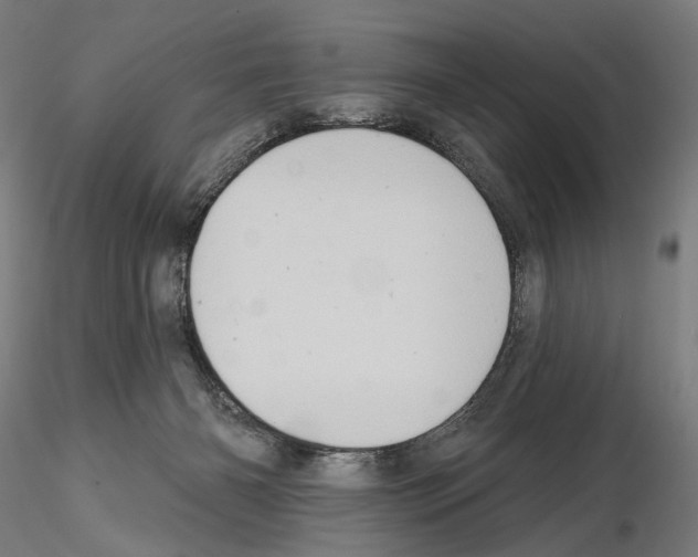 X0000114630126200912011034