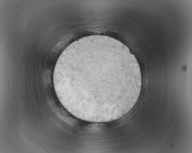 X0000114630128200912011034