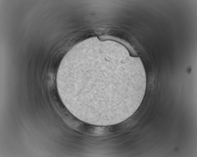 X0000114630130200912011034