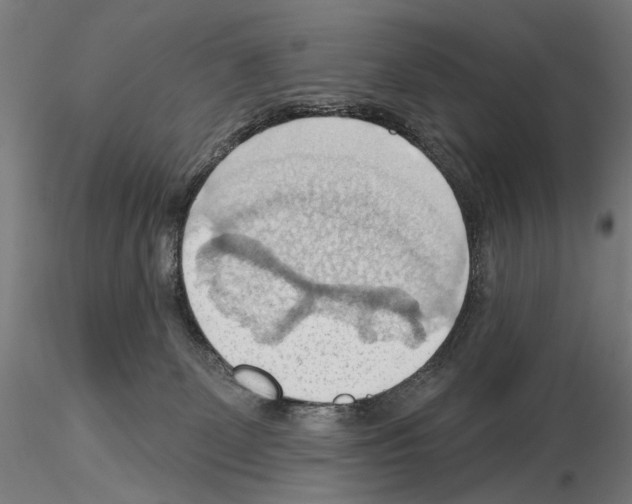 X0000114630131200912011034