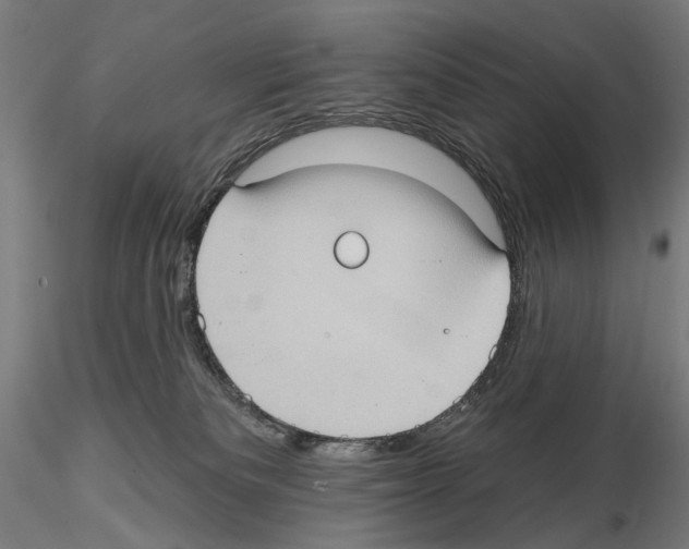 X0000114630133200912011034