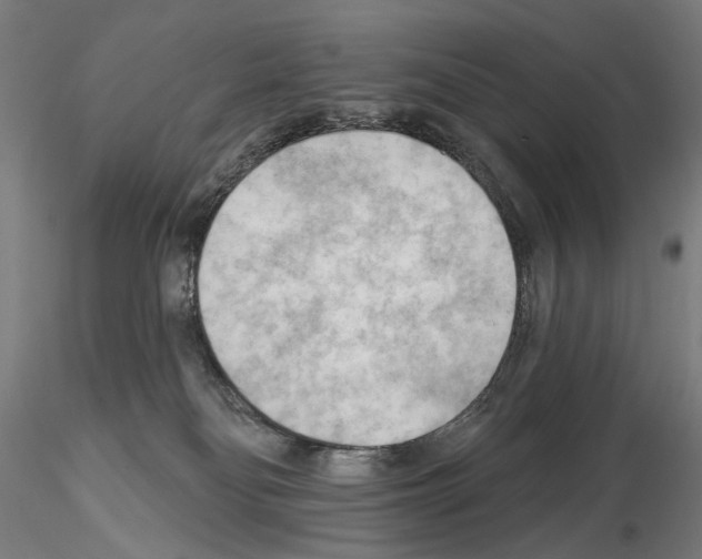 X0000114630134200912011034