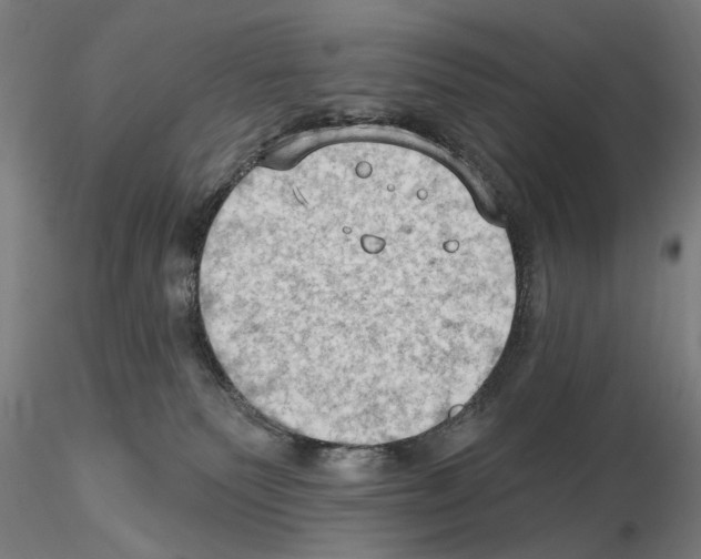 X0000114630135200912011034