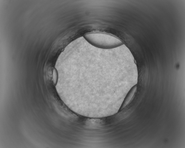 X0000114630137200912011034