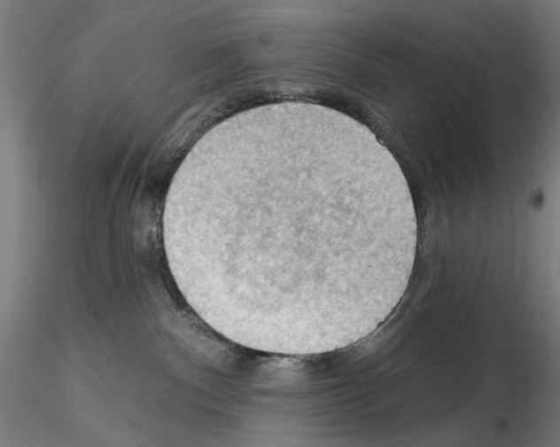 X0000114630140200912011034