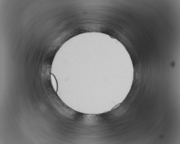 X0000114630141200912011034