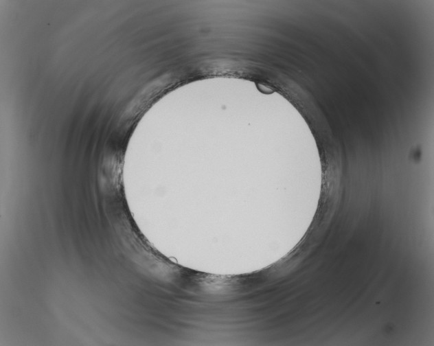 X0000114630142200912011034