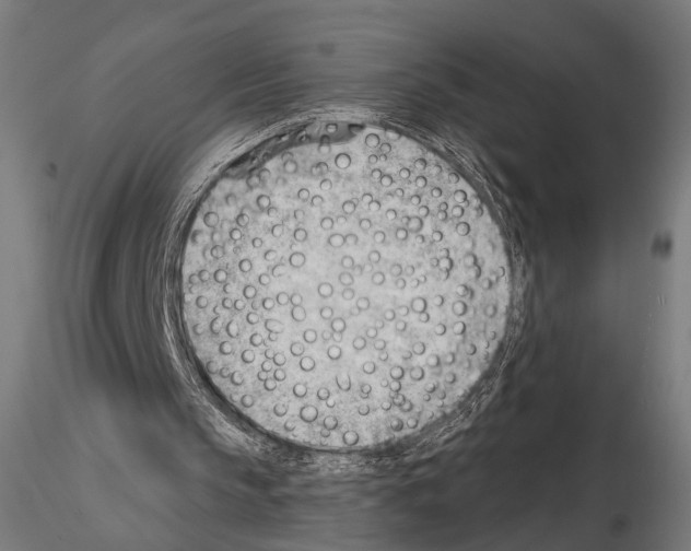 X0000114630145200912011033